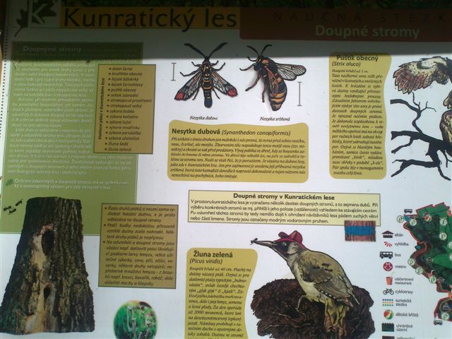 Kunratický les